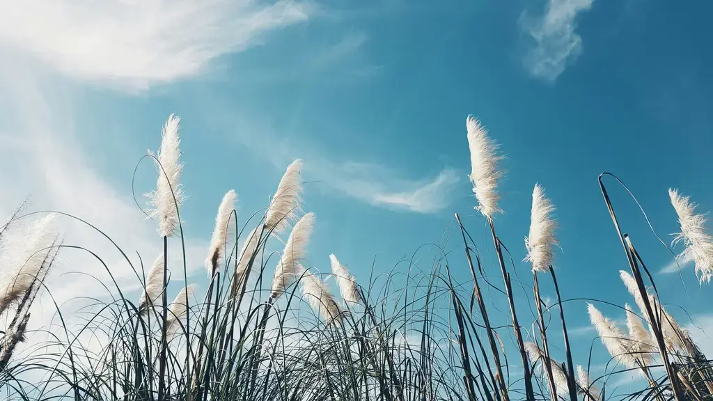 藝術字體產生器繁體：揮灑你的創意，提升文字質感